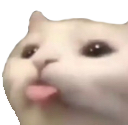 pA_catBeee Discord emoji