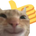 thumbsupCat