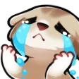 hands