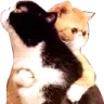 huggy