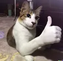 thumbsup2 thumbsup2