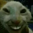 xdd xdd
