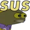 NM_Sus