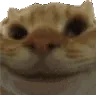 sisi