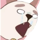 puppycatcry