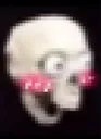 skullblush