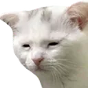 Sleepywtf