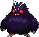 beegboi