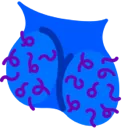 blueb Discord Emoji
