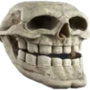 lmaoskull3