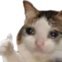 emoji_11
