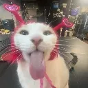emoji_1 emoji_1