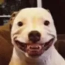 dogsmile