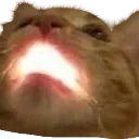 AAAAAAAAA