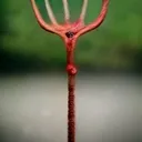 ogscule