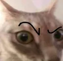 dubiouscat Discord Emoji
