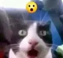 OMG