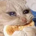 CatEatingBiscuit Discord Emoji