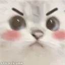 mad