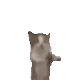 CatJump CatJump