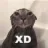 xD