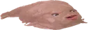 FishTobey