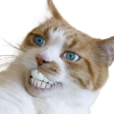 hehehehe Discord emoji