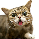hii Discord emoji