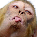lol Discord emoji