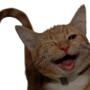 meeeeow Discord emoji