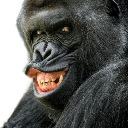 meeeh Discord emoji