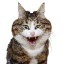 notdrunk Discord emoji