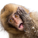 ohno Discord emoji