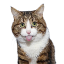 sup Discord emoji