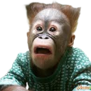 wooow Discord emoji