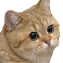 pweeeeeas Discord emoji