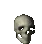 skullfastspin