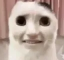 e4e763ed6e3c787211187cd1c34874d3
