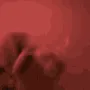 dogjam dogjam