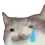 minsadge