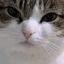 wgy