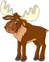 Moosie