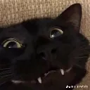 emo