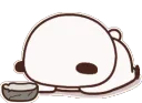 PandaBeg