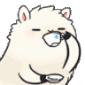 WL_llama_Sip Discord emoji