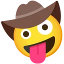 cowboycraycray