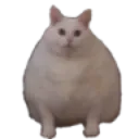 FatCat