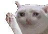 CatCryWave CatCryWave