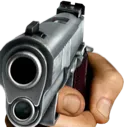 gun