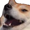 shikikekr shikikekr